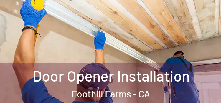 Door Opener Installation Foothill Farms - CA