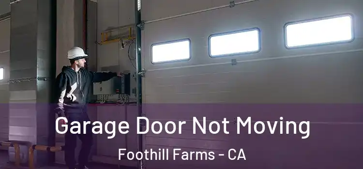 Garage Door Not Moving Foothill Farms - CA