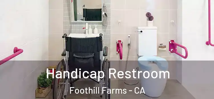 Handicap Restroom Foothill Farms - CA