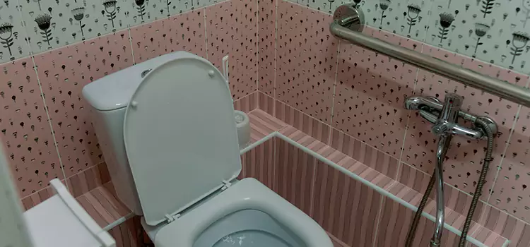 Meeting Diverse Needs With Accessible Restroom Solutions in Foothill Farms, CA