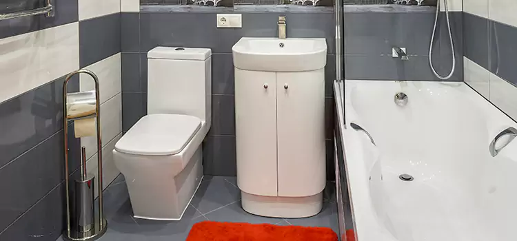 Hansgrohe Shaving Mirror Foothill Farms