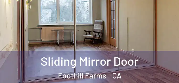  Sliding Mirror Door Foothill Farms - CA