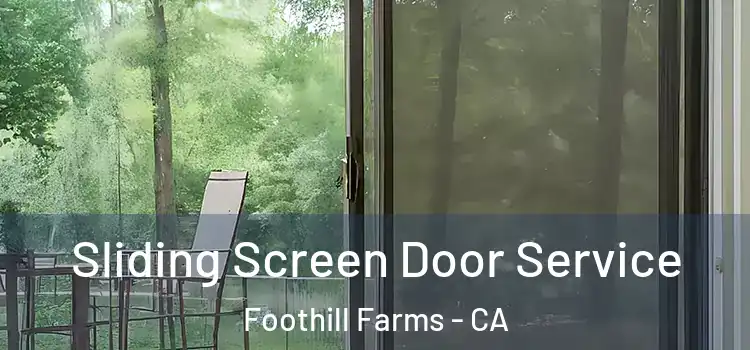 Sliding Screen Door Service Foothill Farms - CA